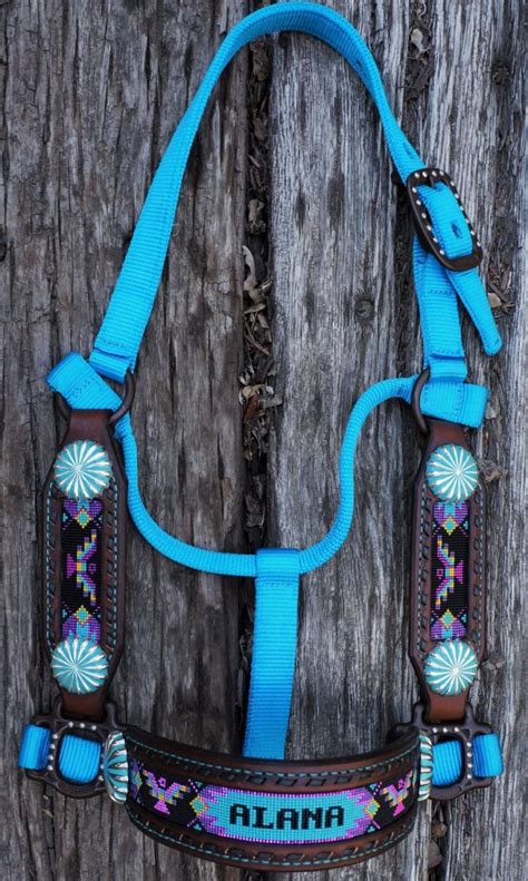 custom embroidered horse halters.